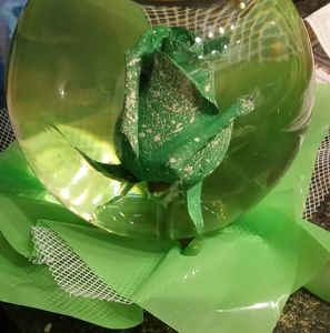 Meet your Posher, Stacy vice